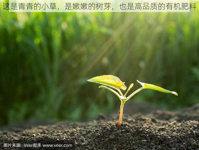 这是青青的小草,是嫩嫩的树芽,也是高品质的有机肥料
